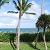 HOA Beach Area