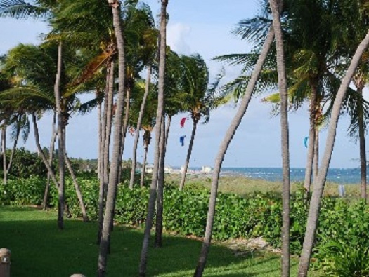 HOA Beach Area HOA Beach Area