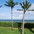 HOA Beach Area