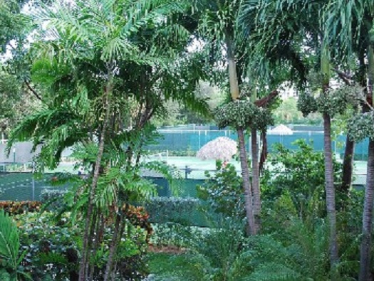 Tennis Courts Tennis Courts