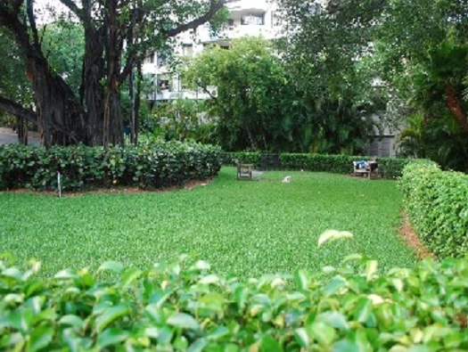 HOA Dog Park HOA Dog Park