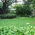 HOA Dog Park